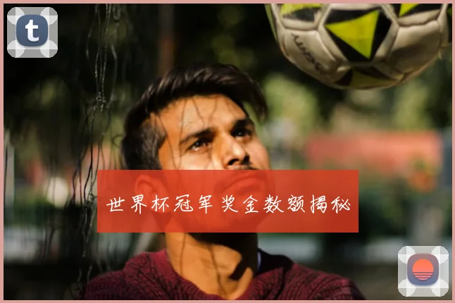 世界杯冠军奖金数额揭秘