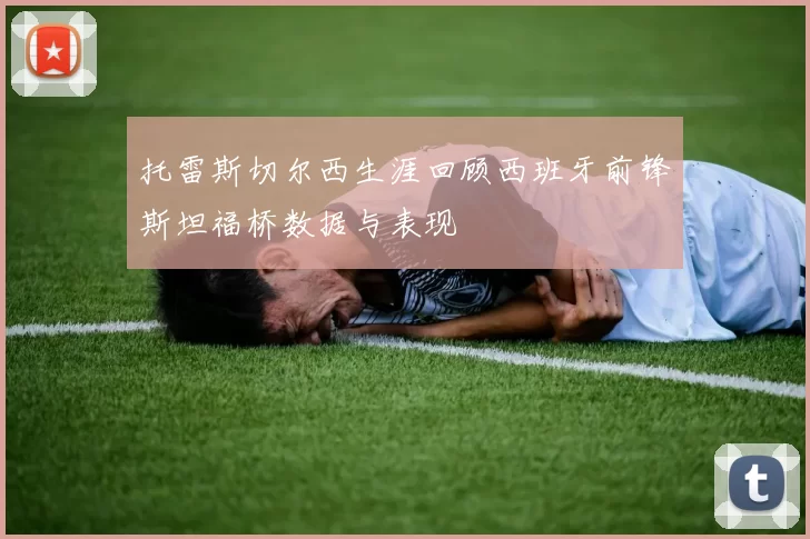 托雷斯切尔西生涯回顾西班牙前锋斯坦福桥数据与表现