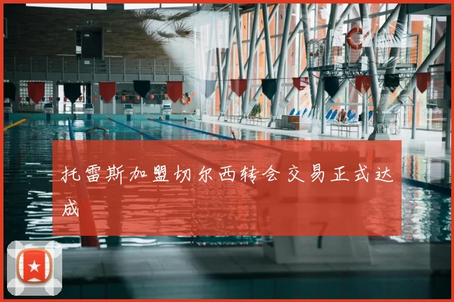 托雷斯加盟切尔西转会交易正式达成