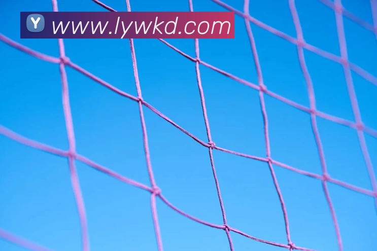 k1体育app下载官网入口(中国)官方在线登录服务体系